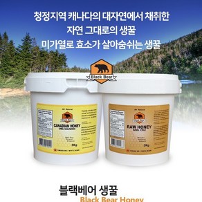 블랙베어 꿀 캐나다 프리미엄 허니 생꿀 3KG 직배송, 액상꿀 Liquid, 1개