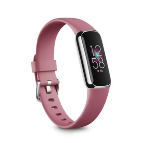 Fitbit Luxe 트래커 피트니스 트래커 블랙흑연 [5일 이상 라이프스마트 워치], 오키드/플래티넘 스테인리스 스틸