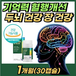 식약처인증 기억력 혈행개선 두뇌 뇌 장 건강 은행잎 추출물 프로바이오틱스 유산균 영양제 MEMORY & PROBIOTICS 플로보놀 배당체 혼합유산균 김치유래유산균 함유 더:익, 2개, 30회분