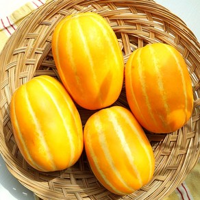 [재구매율1위] 요정의맛 최고당도 성주 참외, 1박스, 옵션2_혼합과 2kg