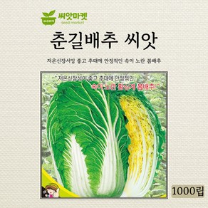 세계종묘 춘길 배추 씨앗 1000립, 1개