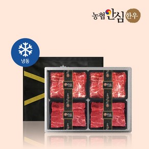 [농협안심한우] 1+등급 한우 정육 혼합세트 2호 2.4kg (불고기/양지), 1세트