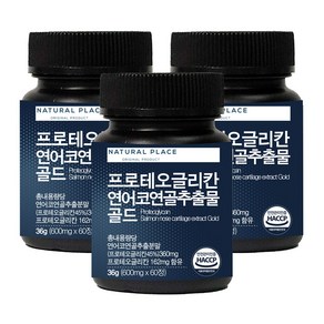 네추럴플레이스 프로테오글리칸 연어코 연골 추출물 골드 500mg 60정