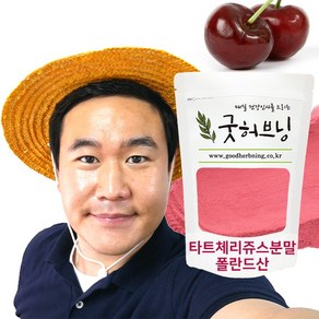 굿허브닝 타트체리 쥬스 주스 분말 가루 원액 파우더 폴란드산 200g, 1개