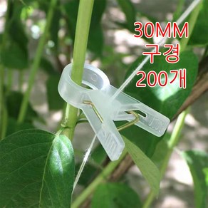 작물집게 [500개] 포도 호박 고추 줄기 와이어 오이 집게 30mm 오이 가지 줄기 유인 작물 고정 각종 식물 채소 모종을 고정 및 지지하여 생육을 촉진하고 생산량을 높입니다, 200개, 흰색