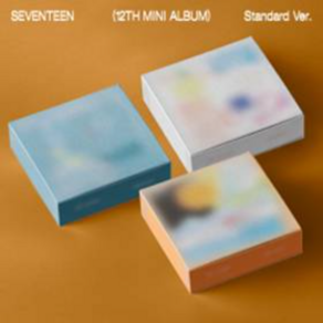 [랜덤]세븐틴 - SEVENTEEN 12TH MINI ALBUM (3종 중 랜덤 1종)