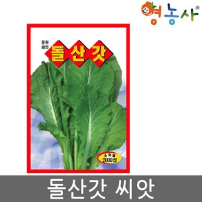 돌산갓 씨앗 2000립 맛과 향이 우수한 갓씨 종자 키우기 영농사, 1개