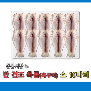 (무료배송) 반 건조 옥돔(옥두어 )제주농수산 소사이즈 10마리, 10개