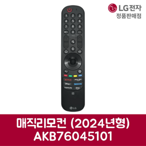 LG전자 엘지 정품 TV 매직리모컨 MR24GN 제품 순정품, 기본선택, 1개