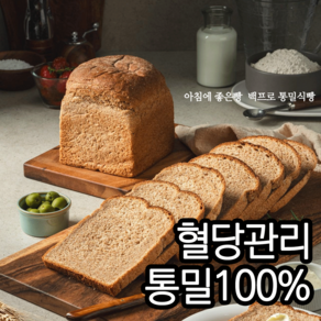아침에 좋은빵 통밀100% 백프로 통밀빵 통밀식빵 식사빵 저당 저염 비건, 630g, 1개