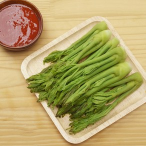 [장인재배] 야생에서자란 자연산 참두릅 두릅, 1박스, 500g