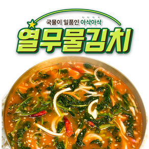 오마이찬 제철 열무물김치 100% 국산 재료로 만든 맛깔나는 여름 별미, 1kg, 1개