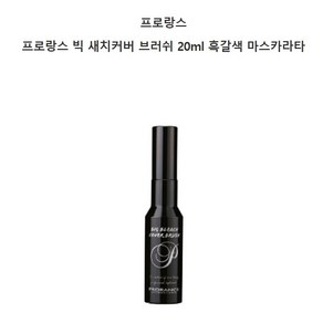 프로랑스 빅 새치 커버 브러시20ml, 블랙, 1개