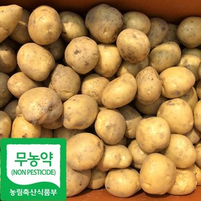 국내산 친환경 햇 수미 감자, 1박스, 2kg(특)