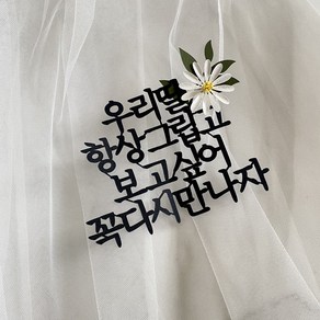 추모토퍼 납골당 성묘 추석 명절 추모 군포 안양 의왕 수원 토퍼, '우리딸'만변경_5자이내