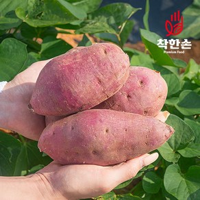 [착한손] 가성비 못난이 고구마 꿀고구마 밤고구마, 못난이 꿀고구마 2.5kg (크기랜덤), 1개