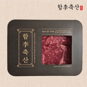 [신선보장] 부드럽고 고소한 고급 한우 채끝살 1등급 (냉장), 1개, 300g