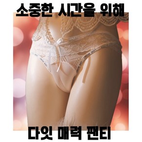 다잇 남자여장 여장남자 보정속옷 하의 변신 팬티 남성 변장 페이크