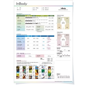 인바디230 용지 결과지 종이 프린트 출력표 500매, 성인용 결과지, 1개, 혼합색상