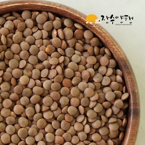 장수양행 렌틸콩1kg, 1개