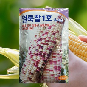 옥수수씨앗 대포장 얼룩찰1호옥수수 2500립 1개 얼룩찰옥수수 대포장