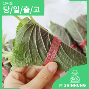 국산 깻잎 2kg 내외 한박스 산지직송 [신흥유통][무료배송]