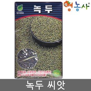 녹두씨앗 30g 덩굴성 안두 길두 콩종자, 1개