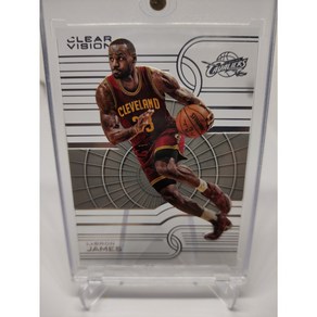 2017 Panini Clea Vision 르브론 제임스 LeBon 농구 NBA 카드, 1개