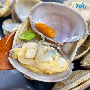 [산지직송] 국내산 다이버 바지락 왕바지락 1kg 70미 내외 통통한 조개살 당일채취, 1개, 2kg (140미 내외)