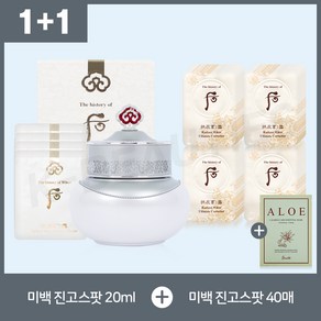 더후 공진향 설 미백 진고 스팟 20ml + 40매 + 션리 마스크팩 1매 포함 구성, 1세트, 40ml