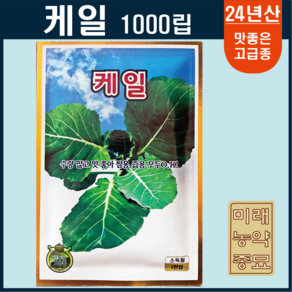 케일 씨앗 1000립, 1개