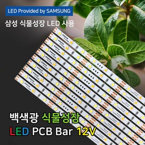 파인라이트 슈퍼팜 LED 식물성장 LED바 조명 백색광 (PCB타입) 국산 삼성LED칩 50cm 식물재배