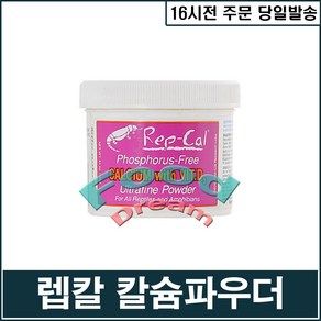 [렙칼] 울트라 칼슘파우더 영양제, 1개