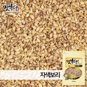 맛봉달 24년산 자색보리 자맥 자색보리쌀 삼색보리 국내산, 1개, 500g