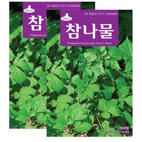 세인화분 참나물 900립, 2개