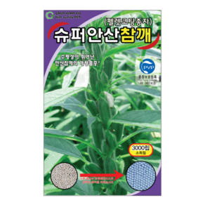 슈퍼안산 참깨 3000립 씨앗 종자