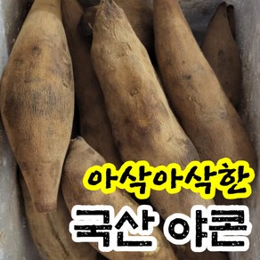 아삭아삭한 친환경 토종 야콘 특품 1kg/실속 3kg 국산 국내산 괴산 고품질 자연재배 산지직송 햇 생 생과 땅속과일 레드야콘 변비 다이어트, 5kg(갈라지거나부러진생과), 1개