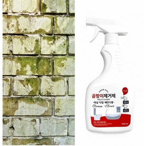 담배찌든때 700ml 세탁실곰팡이 화장실 니코틴 천장곰팡이 장판밑곰팡이 제거, 2개