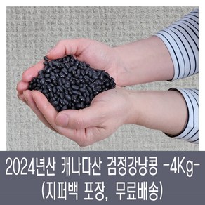[다온농산] 수입 캐나다산 검정강낭콩 [흑동부/흑양대] -4Kg- 지퍼백, 1개, 4kg