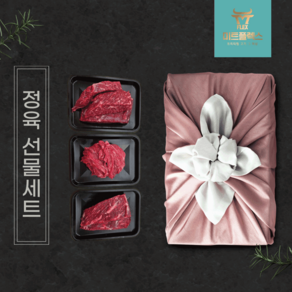 한우 1++ 정육 선물세트(불고기 국거리) 1.2kg 미트플렉스, 1개