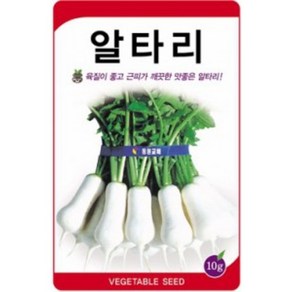 AR 일류알타리무 알타리 씨앗 10g, 1개