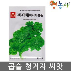 보람농자재 (겨자종자씨앗) 청곱슬겨자(2000립 120g), 1개