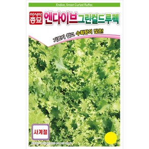 아시아종묘 씨앗 치커리 그린컬드루펙 1500립 엔다이브, 1개