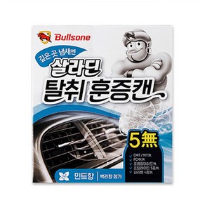불스원 에어컨 히터용 탈취 훈증캔 민트향 4.8g 지지유통, 1개