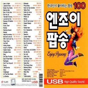 USB 이노뮤직 엔조이 팝송 100곡