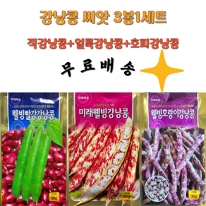 강낭콩씨앗 3종세트 적강낭콩 얼룩강낭콩 호랑이콩 씨앗의모든것, 3개