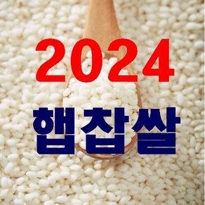 2024년 햅찹쌀 충남서천찹쌀 20kg+미강