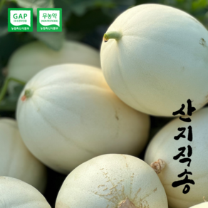 산지직송 고령 고당도 설향 메론 18브릭스, 1개, 5kg (5-11과)