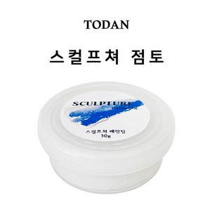 (TD) 스컬프쳐 점토, 단품, 1개, 30g