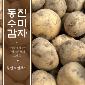 [부안로컬] 25년 수확 동진 수미 햇감자, 1박스, 3kg 대